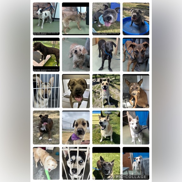 Like for show notifications! - Picture 6 of 6